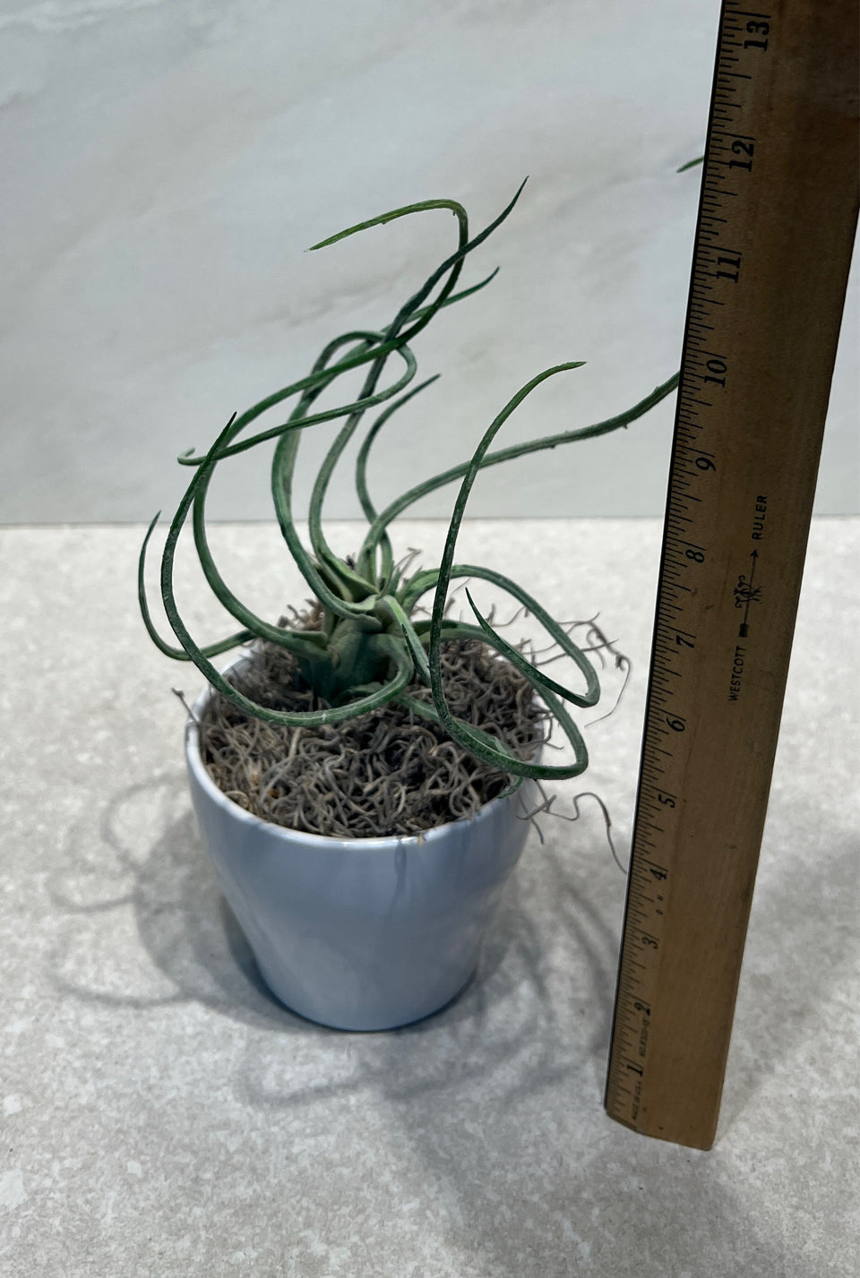 Artifical Decor