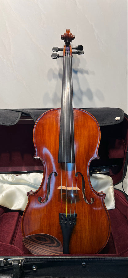 Violin With Bow And Case
