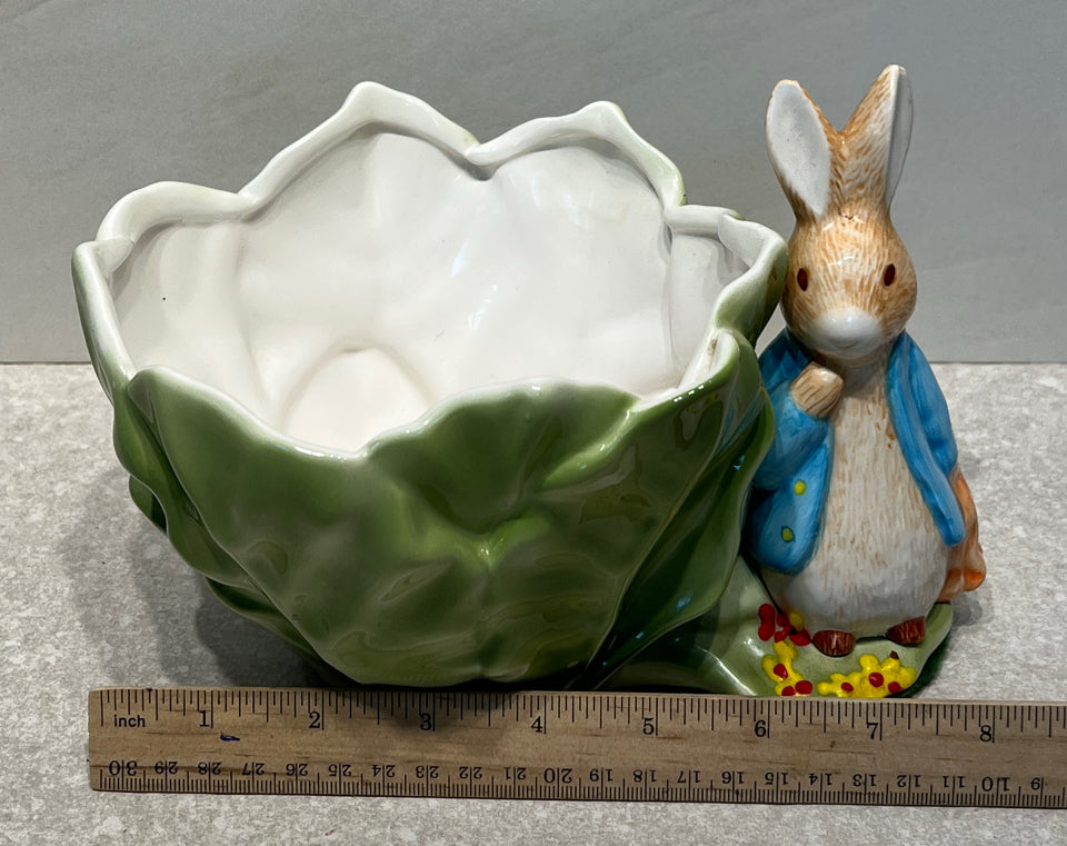 Beatrix Potter Rabbit
