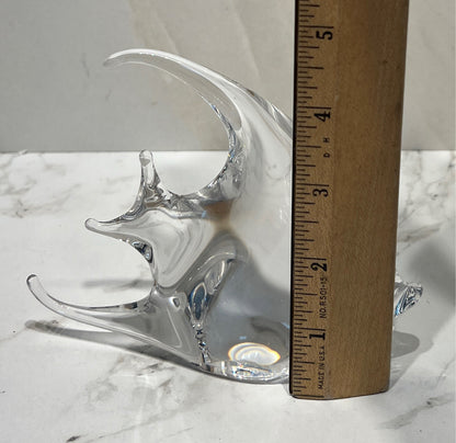 Glass Fish
