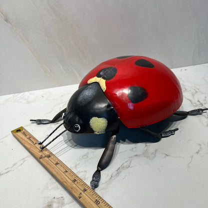 Ladybug