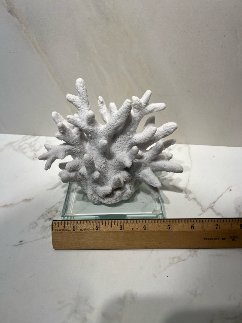 Coral Decor