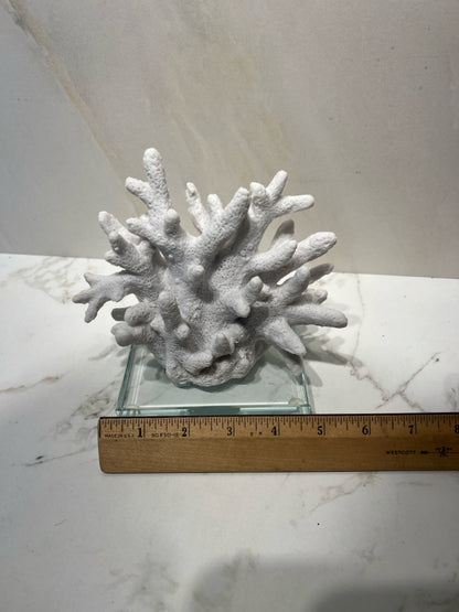 Coral Decor