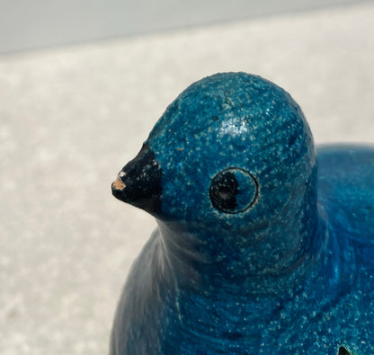 Bird - as is