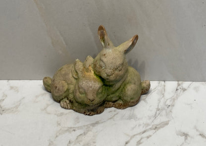 Rabbits