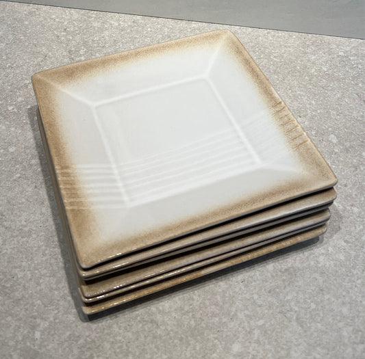 Set of 6 Pier 1 Plates