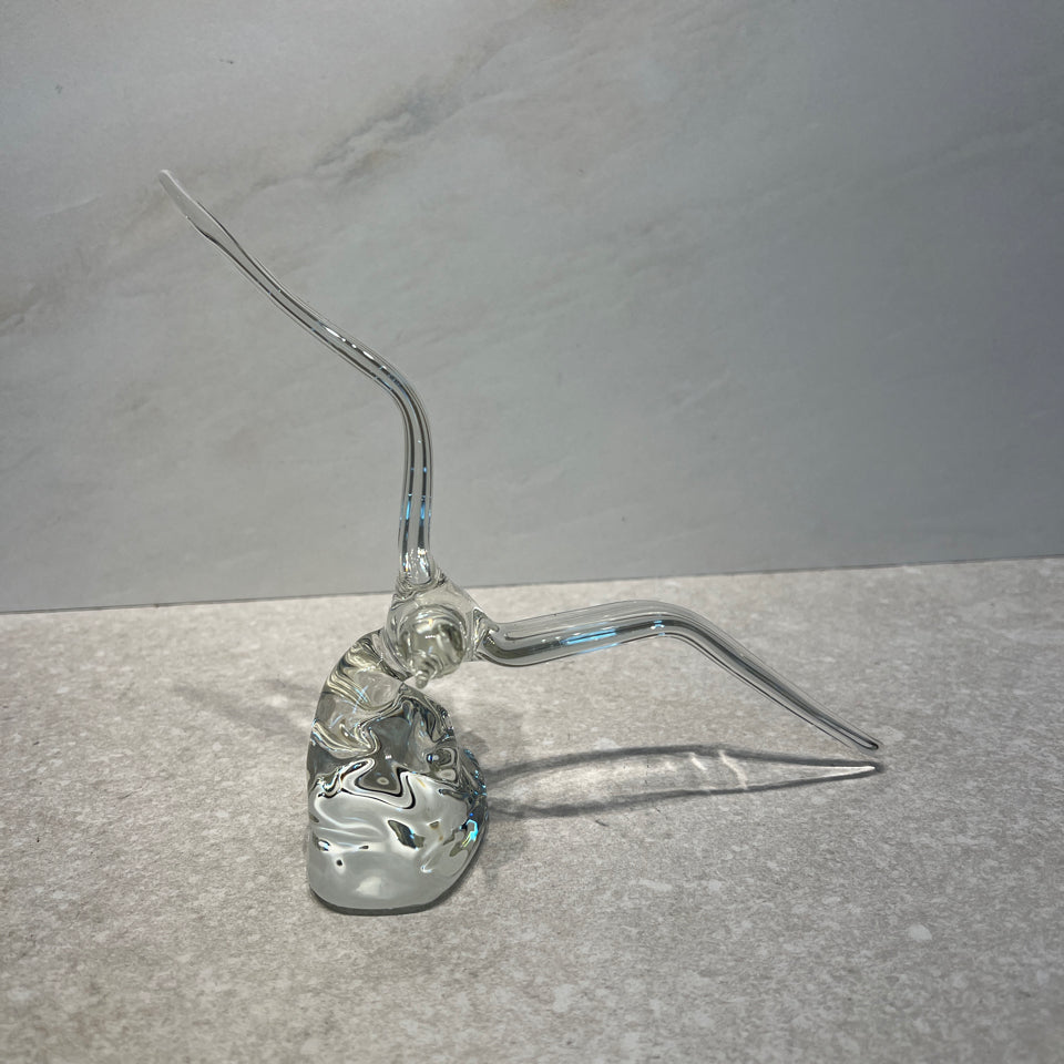 Glass Bird