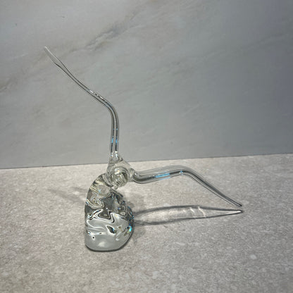 Glass Bird