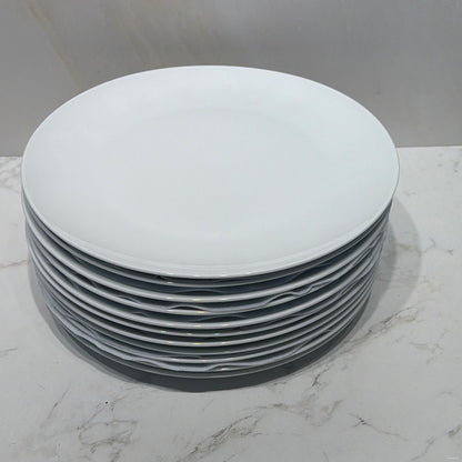 Set of 11 Dinner Plates