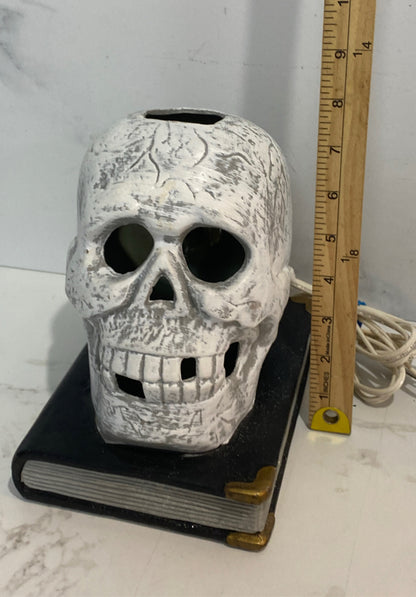 Lighted Skull
