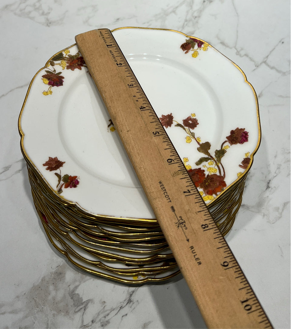 Set of 12 Haviland Plates