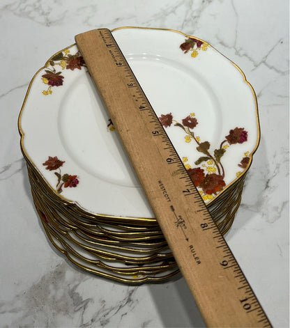 Set of 12 Haviland Plates