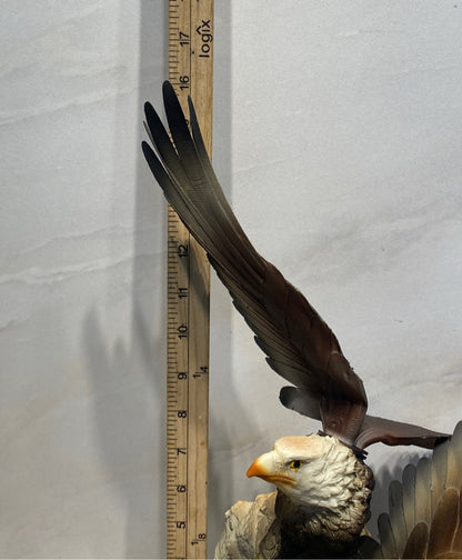 Soaring eagle