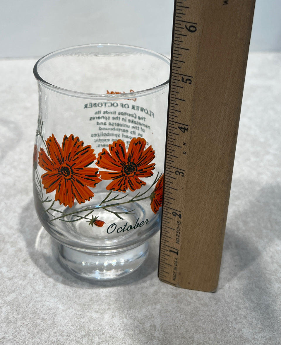Set of 5 Floral GLasses