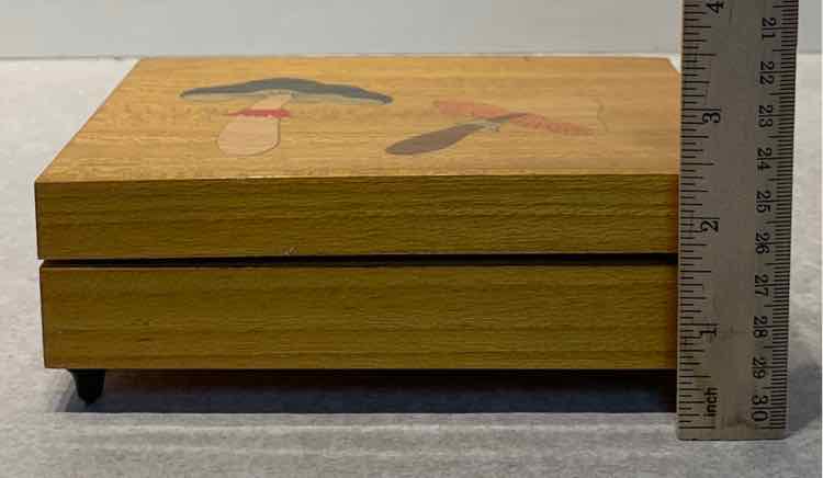 Italy Mushroom Box