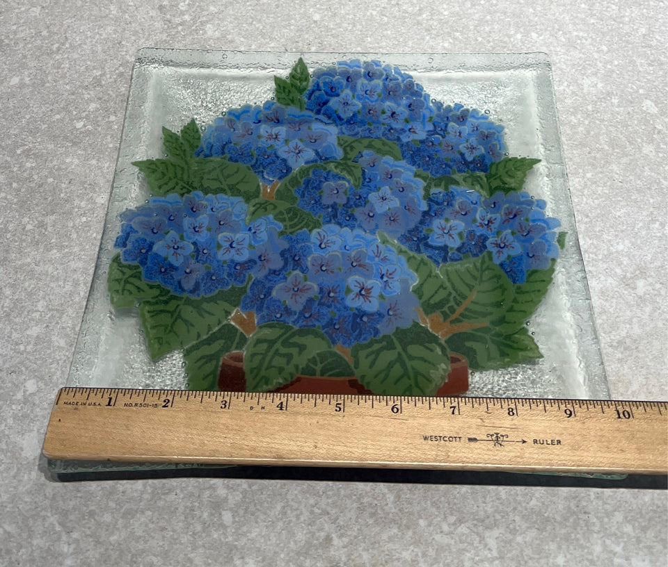 Fused Glass Plate