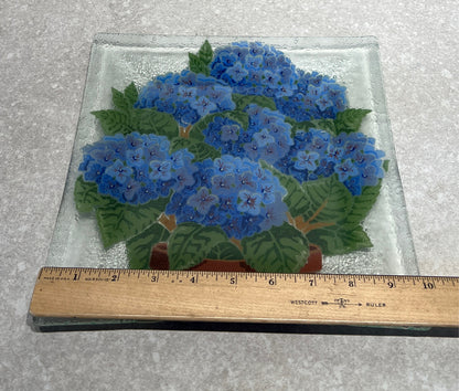 Fused Glass Plate