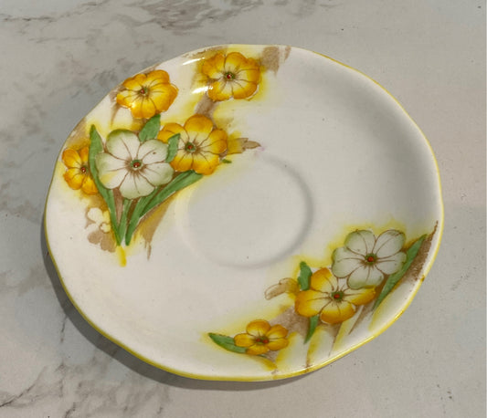 Cup And Saucer