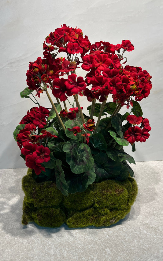 Red Flowers