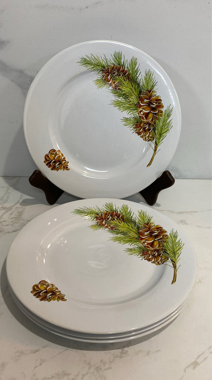 Set of 4 Dinner Plates