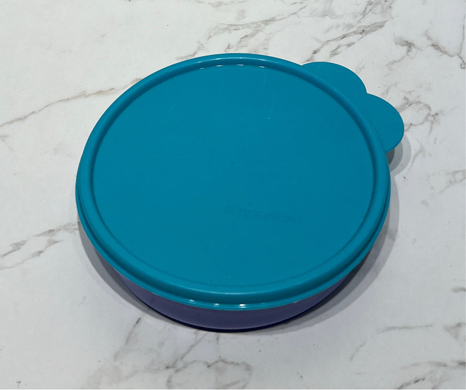 Tupperware Container