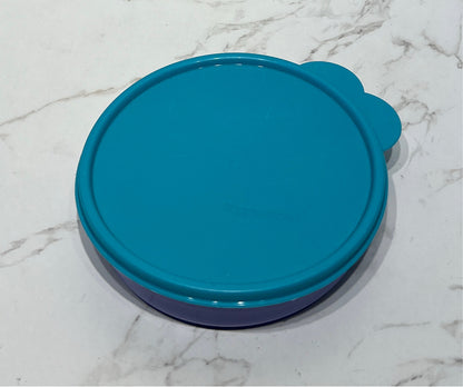 Tupperware Container
