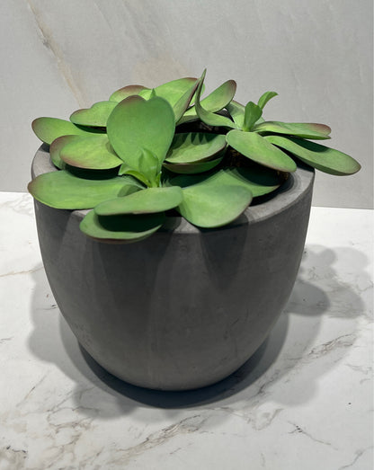 Artifical Decor
