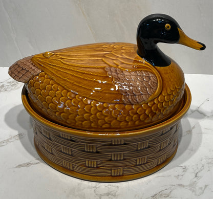 Duck on Nest