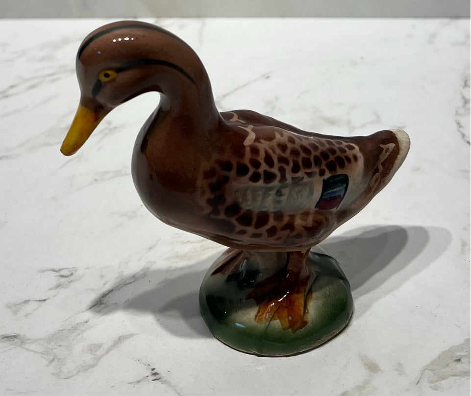 Duck