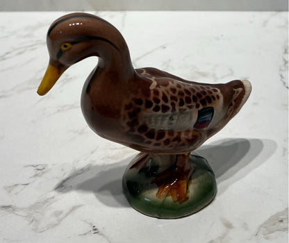 Duck