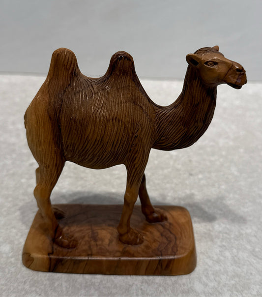 Camel