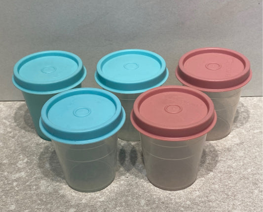 Covered Tupperware Container (Set of 5 )
