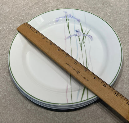 Set of 5 Corelle Dinner Plates