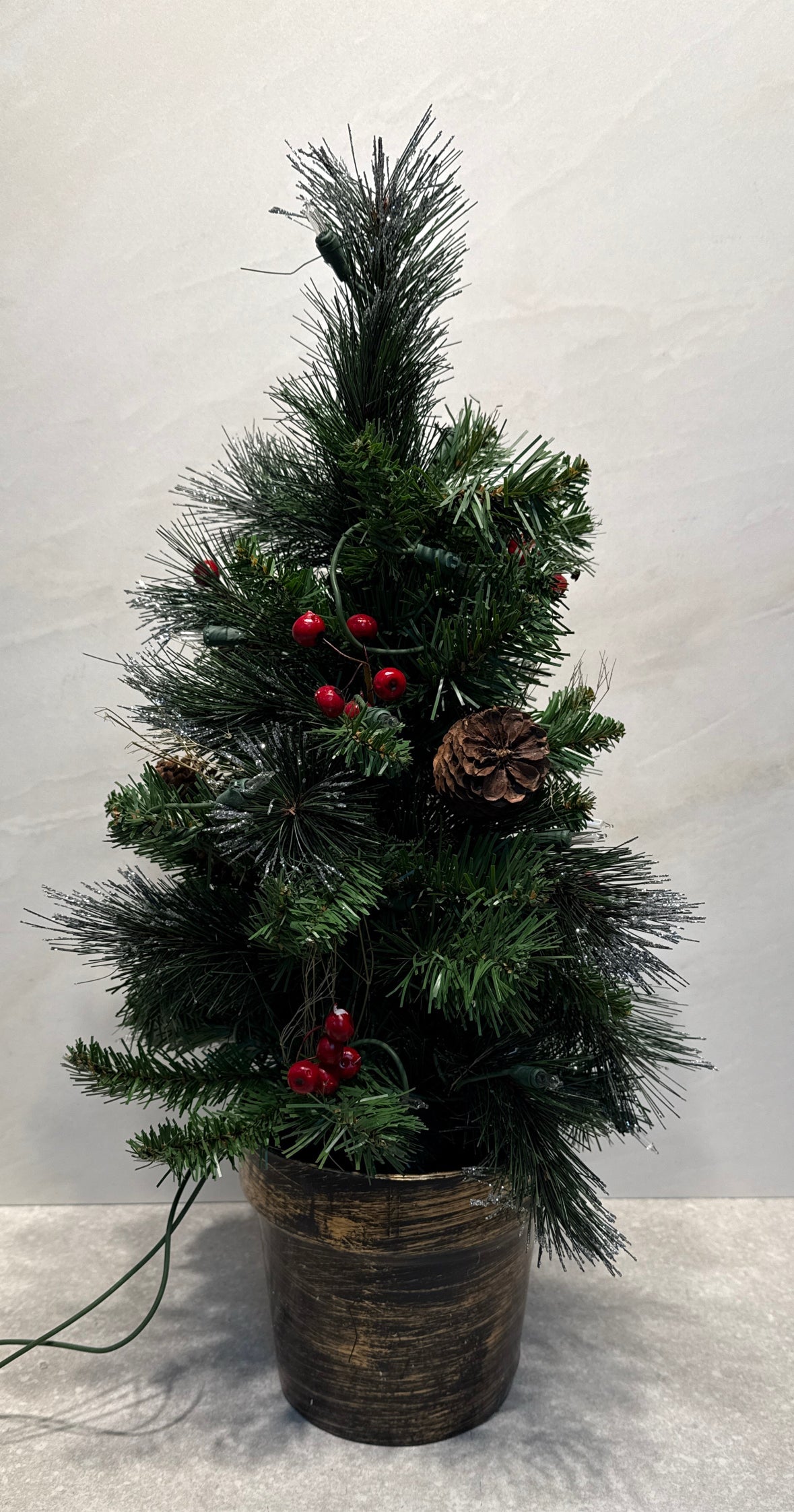 Lighted Tree