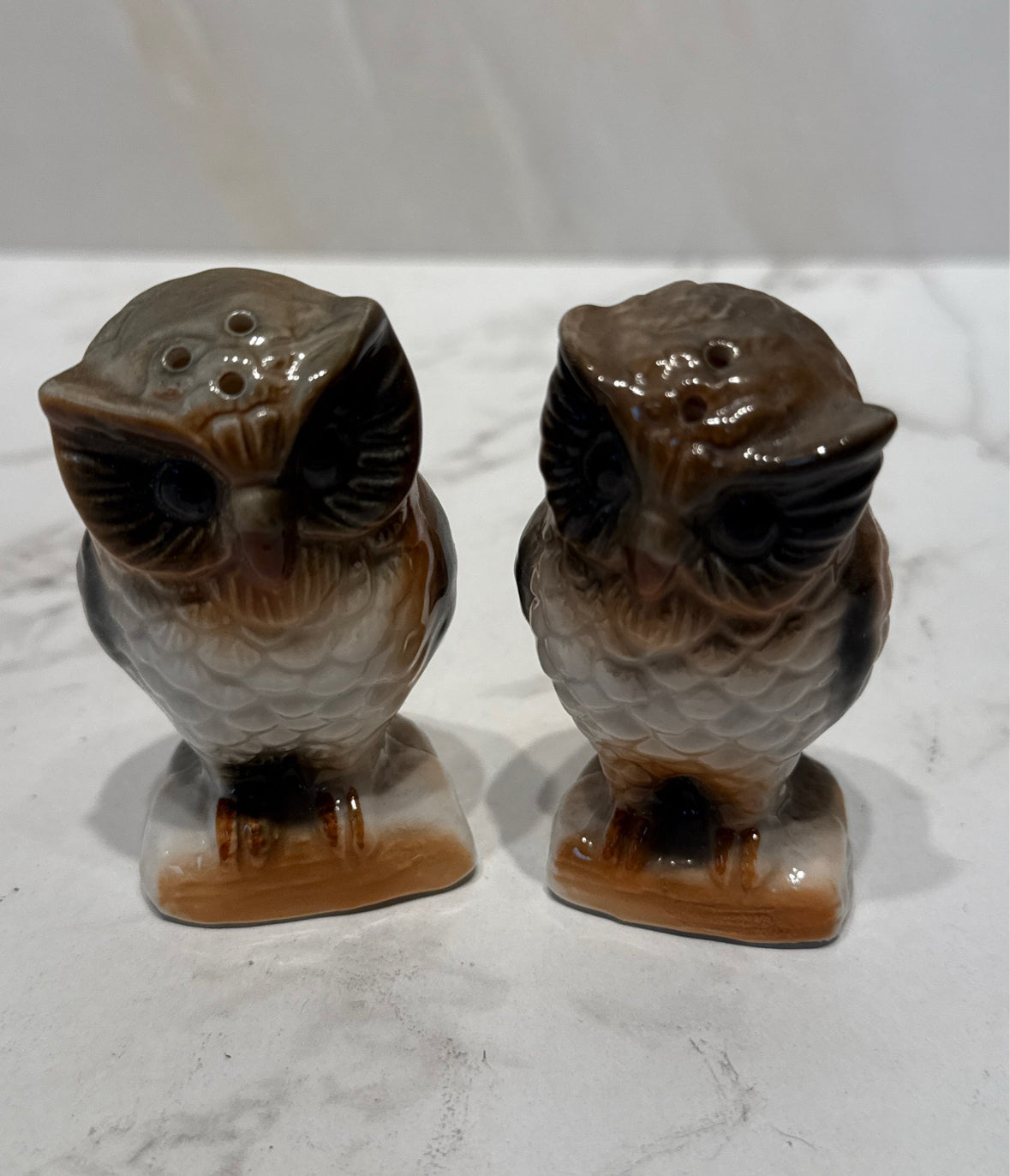 Owl S + P