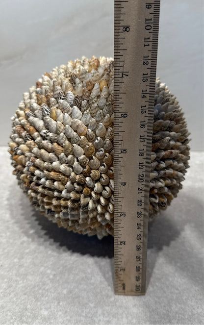 Shell Ball