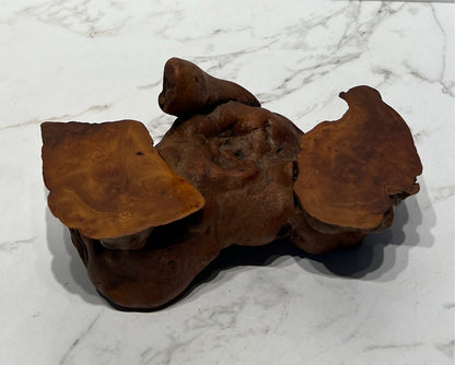 Wood