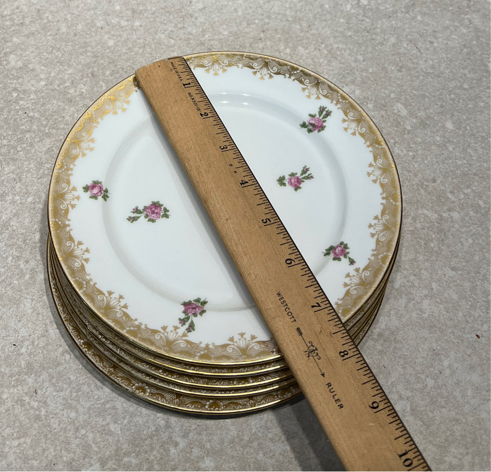Set of 5 Limoges Plates