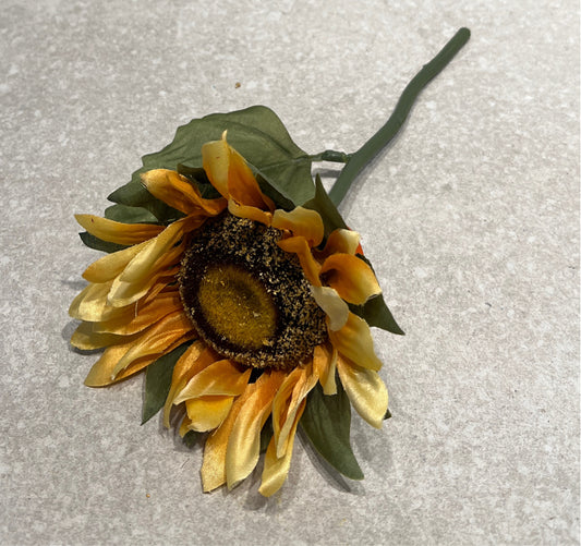 Flower Pic