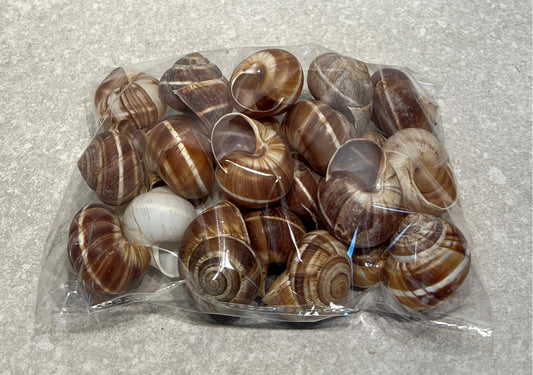 Bag of Shells