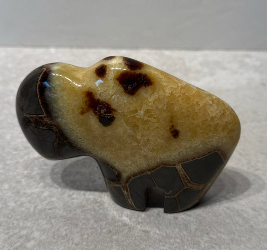 Septarian Bison