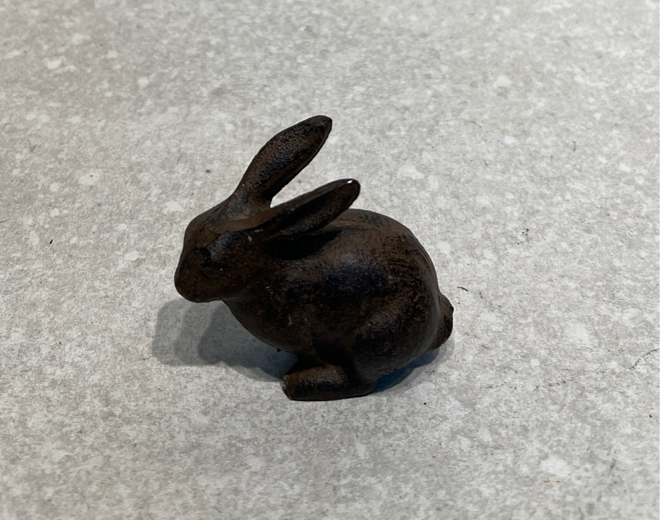 Iron Bunny
