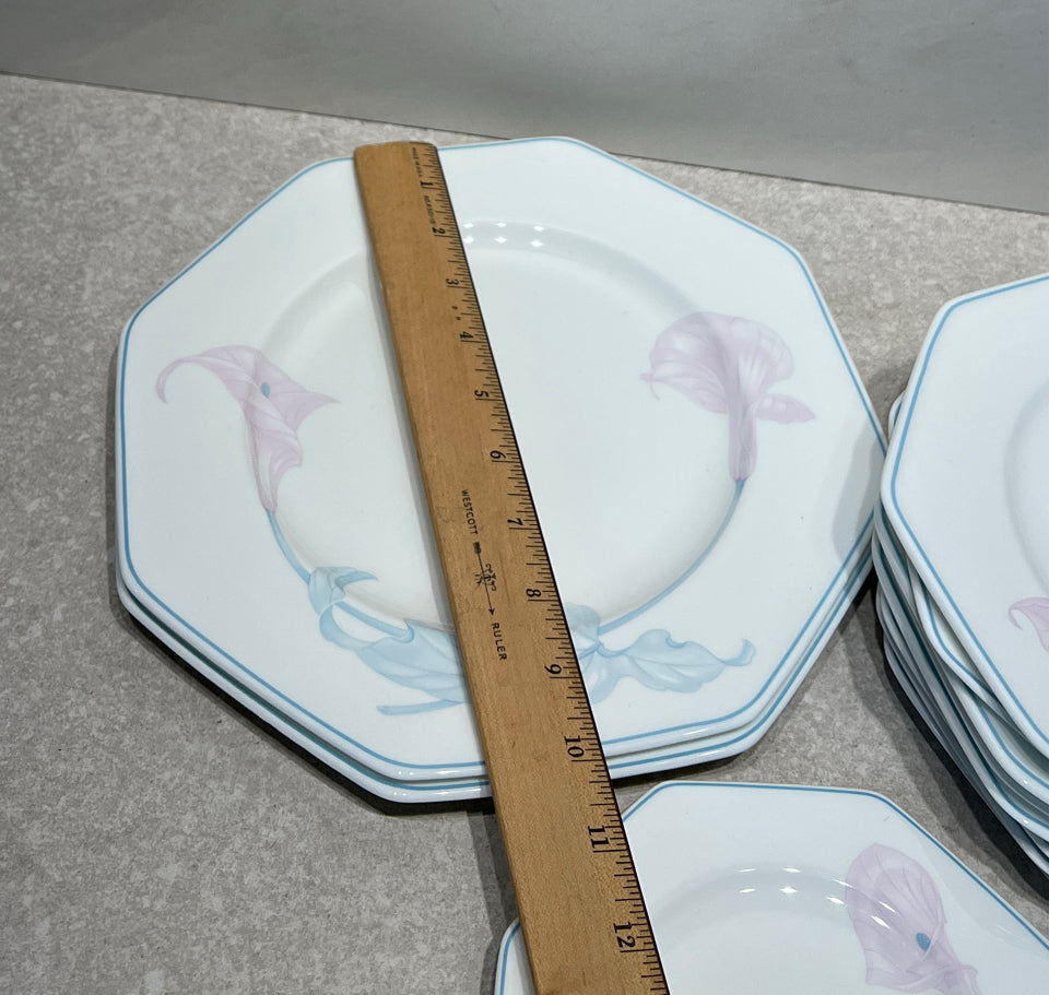 Set of 12 Villeroy & Boch Plates