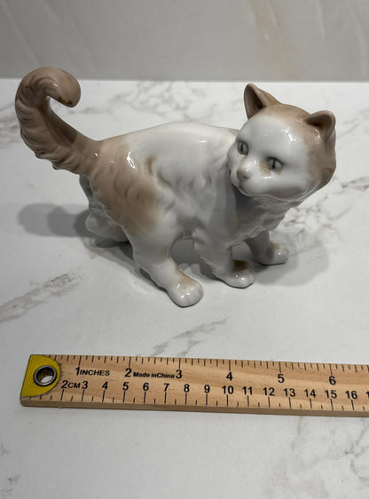 Nao Cat