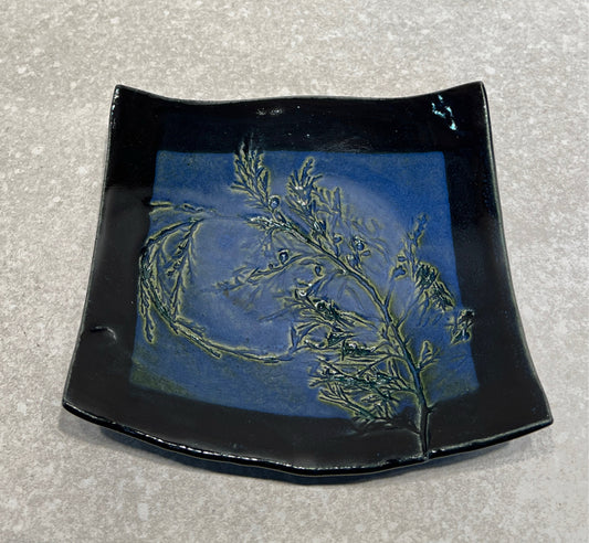 Dish