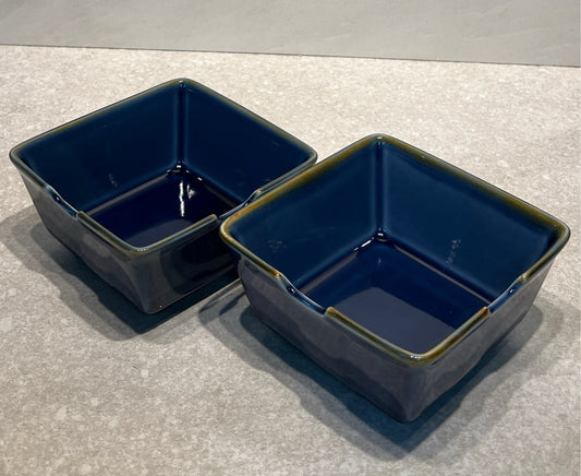 Set of 2 Pottery Barn Bowls