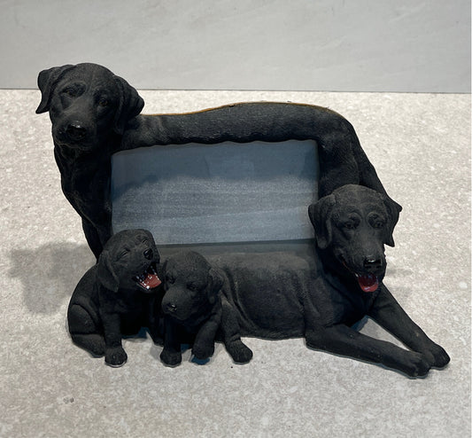 Dog Frame