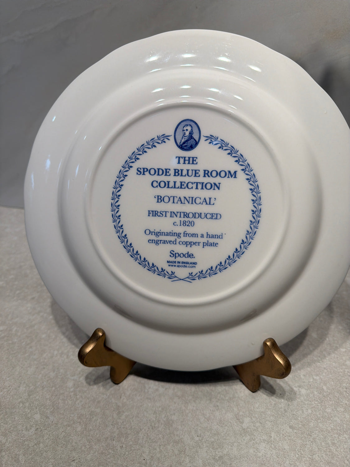 10" Spode Plate