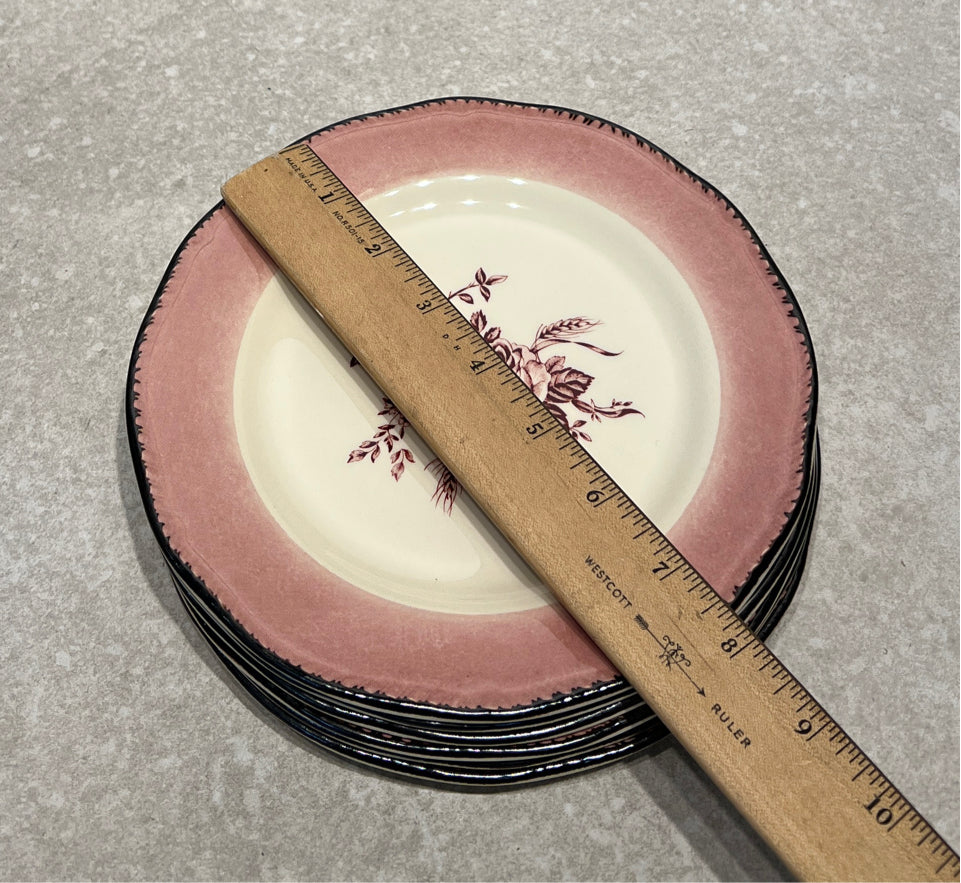 Set of 6 England  Plates