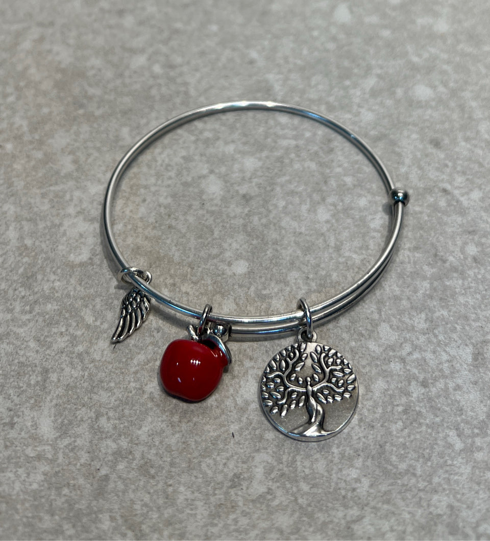 Alex And Ani Bracelet